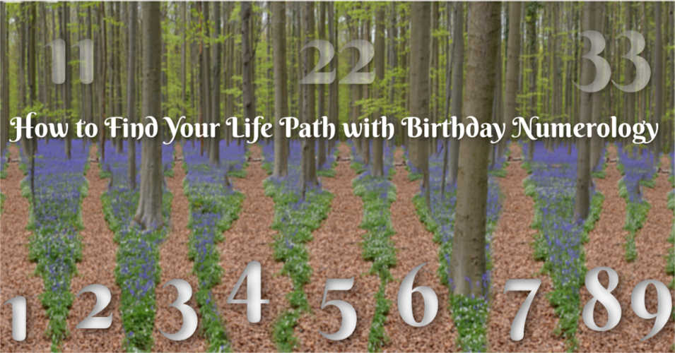 Life Path with Birthday Numerology Life Path with Birthday Numerology