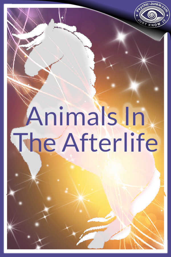 One of Astrid Brown's true stories of animals in the afterlife.