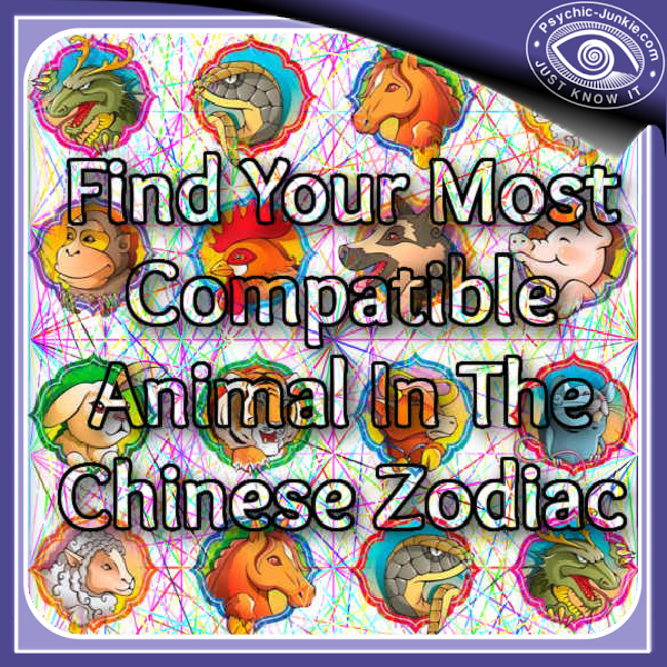 See The Chinese Zodiac Signs For Your Most Compatible Animal
