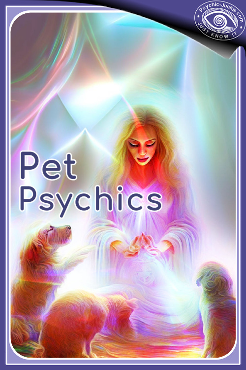 How Pet Psychic Readings Work How Pet Psychic Readings Work