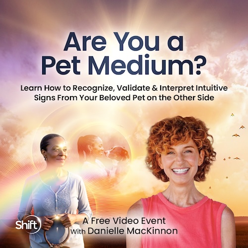 Are You A Pet Medium