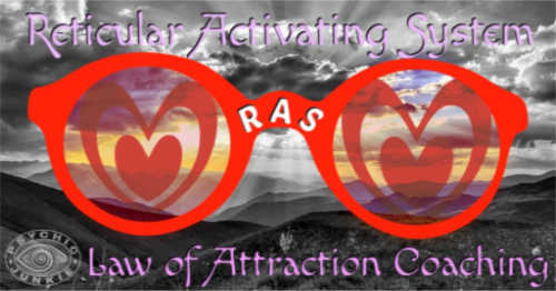 The RAS + Emotion Will Set Your Goals In Motion