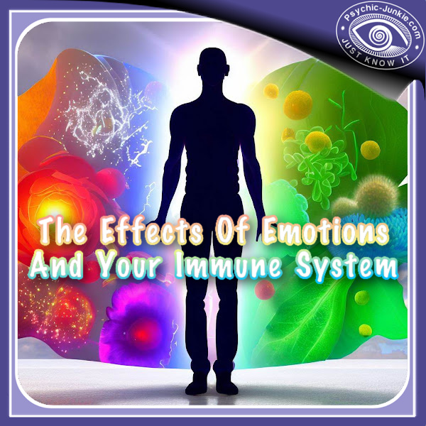 Emotions And Your Immune System 